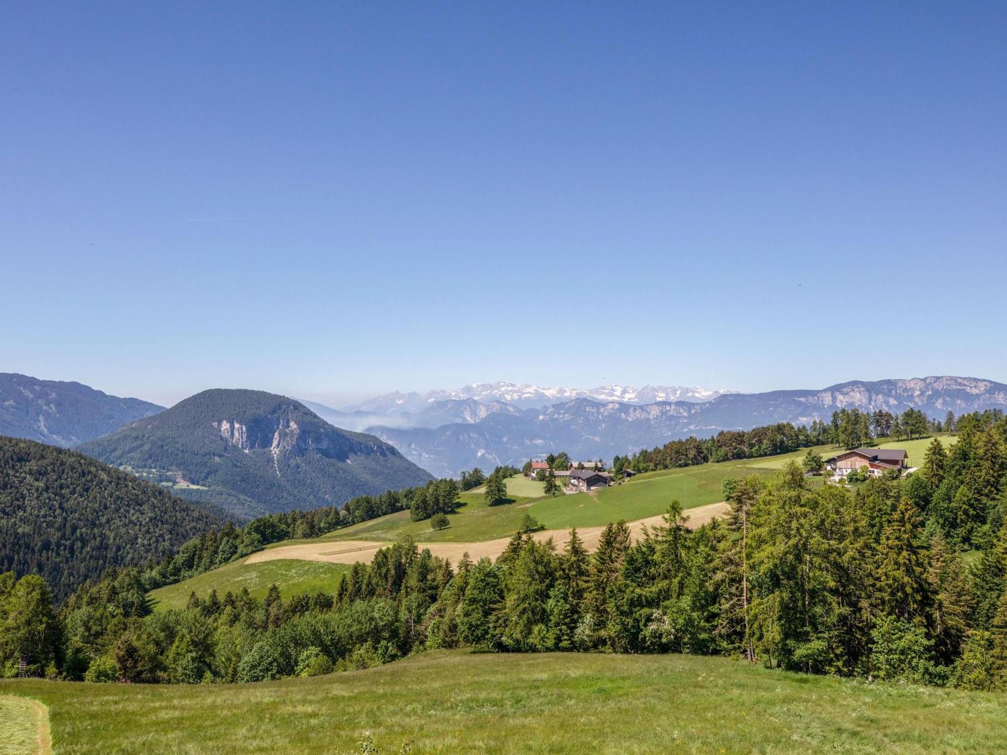 Huanzhof Ferienwohnung Schwarzhorn 알디노 외부 사진